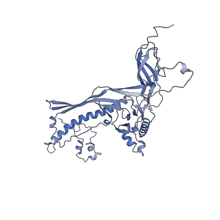 4655_6qvk_1T_v1-0
The cryo-EM structure of bacteriophage phi29 prohead