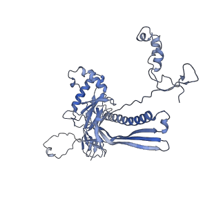 4655_6qvk_1W_v1-0
The cryo-EM structure of bacteriophage phi29 prohead