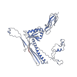 4655_6qvk_1X_v1-0
The cryo-EM structure of bacteriophage phi29 prohead