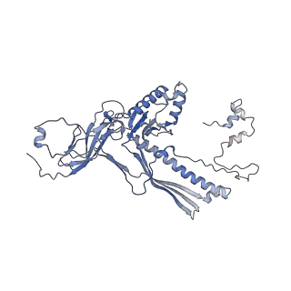 4655_6qvk_1Y_v1-0
The cryo-EM structure of bacteriophage phi29 prohead