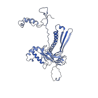 4655_6qvk_1c_v1-0
The cryo-EM structure of bacteriophage phi29 prohead