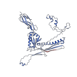 4655_6qvk_1d_v1-0
The cryo-EM structure of bacteriophage phi29 prohead