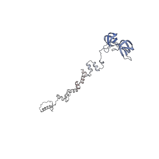 4655_6qvk_1e_v1-0
The cryo-EM structure of bacteriophage phi29 prohead