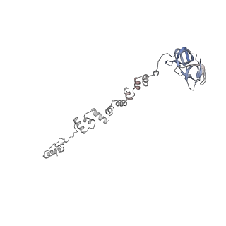 4655_6qvk_1f_v1-0
The cryo-EM structure of bacteriophage phi29 prohead