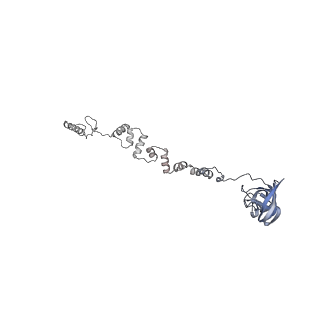 4655_6qvk_1g_v1-0
The cryo-EM structure of bacteriophage phi29 prohead