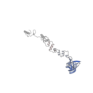 4655_6qvk_1h_v1-0
The cryo-EM structure of bacteriophage phi29 prohead