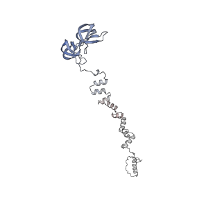 4655_6qvk_1i_v1-0
The cryo-EM structure of bacteriophage phi29 prohead