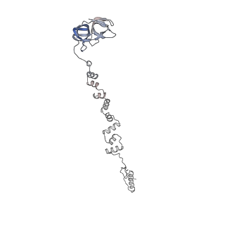 4655_6qvk_1j_v1-0
The cryo-EM structure of bacteriophage phi29 prohead