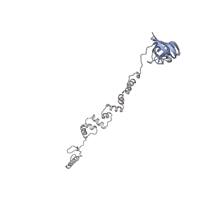 4655_6qvk_1k_v1-0
The cryo-EM structure of bacteriophage phi29 prohead