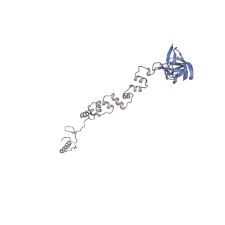 4655_6qvk_1l_v1-0
The cryo-EM structure of bacteriophage phi29 prohead