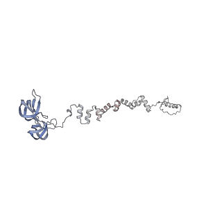 4655_6qvk_1m_v1-0
The cryo-EM structure of bacteriophage phi29 prohead