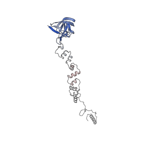 4655_6qvk_1p_v1-0
The cryo-EM structure of bacteriophage phi29 prohead