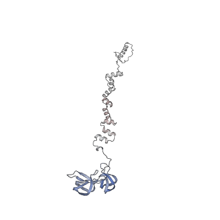 4655_6qvk_1q_v1-0
The cryo-EM structure of bacteriophage phi29 prohead