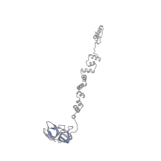 4655_6qvk_1r_v1-0
The cryo-EM structure of bacteriophage phi29 prohead