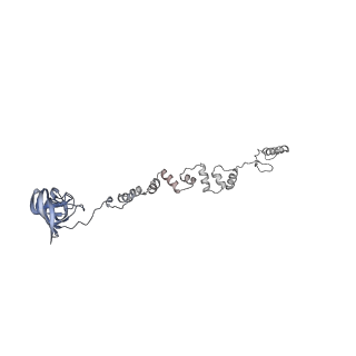 4655_6qvk_1s_v1-0
The cryo-EM structure of bacteriophage phi29 prohead