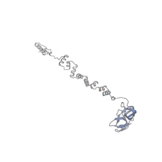 4655_6qvk_1v_v1-0
The cryo-EM structure of bacteriophage phi29 prohead