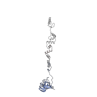 4655_6qvk_1w_v1-0
The cryo-EM structure of bacteriophage phi29 prohead