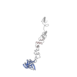 4655_6qvk_1x_v1-0
The cryo-EM structure of bacteriophage phi29 prohead