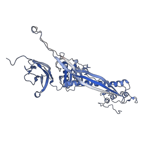 4655_6qvk_2B_v1-0
The cryo-EM structure of bacteriophage phi29 prohead