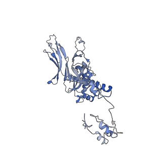 4655_6qvk_2C_v1-0
The cryo-EM structure of bacteriophage phi29 prohead