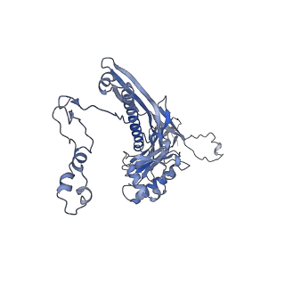 4655_6qvk_2D_v1-0
The cryo-EM structure of bacteriophage phi29 prohead