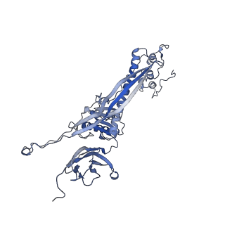 4655_6qvk_2G_v1-0
The cryo-EM structure of bacteriophage phi29 prohead