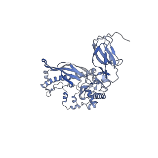 4655_6qvk_2K_v1-0
The cryo-EM structure of bacteriophage phi29 prohead