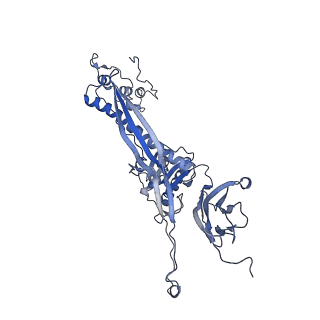 4655_6qvk_2L_v1-0
The cryo-EM structure of bacteriophage phi29 prohead