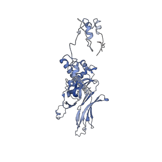 4655_6qvk_2M_v1-0
The cryo-EM structure of bacteriophage phi29 prohead