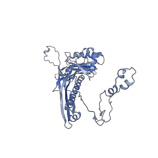 4655_6qvk_2N_v1-0
The cryo-EM structure of bacteriophage phi29 prohead