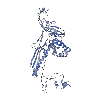 4655_6qvk_2O_v1-0
The cryo-EM structure of bacteriophage phi29 prohead