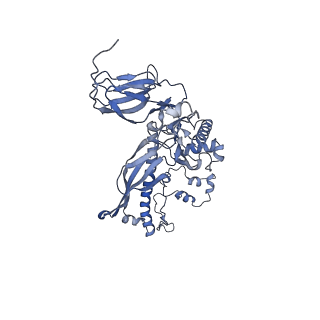 4655_6qvk_2P_v1-0
The cryo-EM structure of bacteriophage phi29 prohead