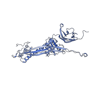 4655_6qvk_2Q_v1-0
The cryo-EM structure of bacteriophage phi29 prohead