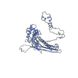 4655_6qvk_2S_v1-0
The cryo-EM structure of bacteriophage phi29 prohead