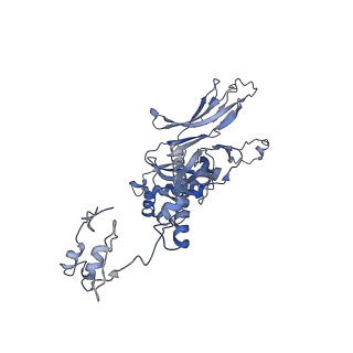 4655_6qvk_2W_v1-0
The cryo-EM structure of bacteriophage phi29 prohead