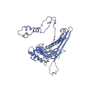 4655_6qvk_2X_v1-0
The cryo-EM structure of bacteriophage phi29 prohead