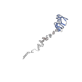 4655_6qvk_2Z_v1-0
The cryo-EM structure of bacteriophage phi29 prohead