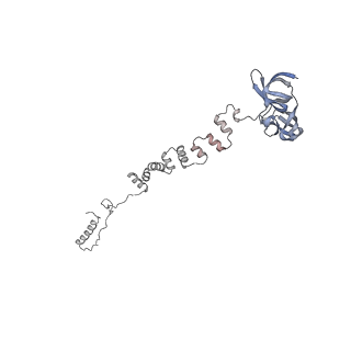 4655_6qvk_2a_v1-0
The cryo-EM structure of bacteriophage phi29 prohead