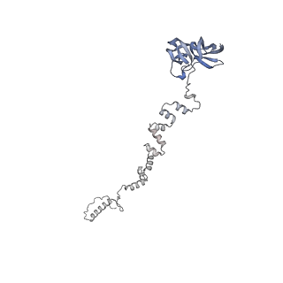 4655_6qvk_2d_v1-0
The cryo-EM structure of bacteriophage phi29 prohead