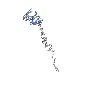 4655_6qvk_2e_v1-0
The cryo-EM structure of bacteriophage phi29 prohead