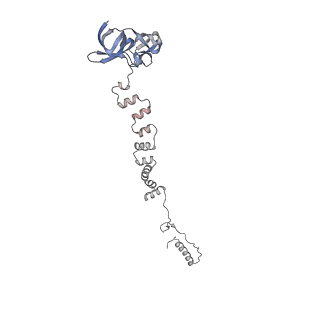 4655_6qvk_2f_v1-0
The cryo-EM structure of bacteriophage phi29 prohead