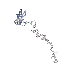 4655_6qvk_2i_v1-0
The cryo-EM structure of bacteriophage phi29 prohead