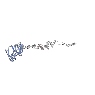 4655_6qvk_2j_v1-0
The cryo-EM structure of bacteriophage phi29 prohead
