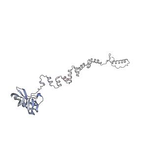4655_6qvk_2n_v1-0
The cryo-EM structure of bacteriophage phi29 prohead