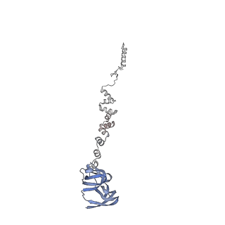 4655_6qvk_2o_v1-0
The cryo-EM structure of bacteriophage phi29 prohead
