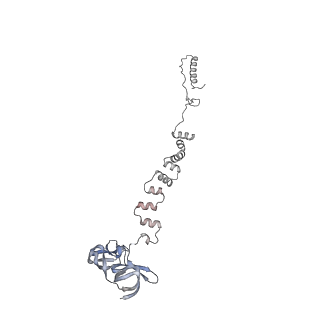 4655_6qvk_2p_v1-0
The cryo-EM structure of bacteriophage phi29 prohead