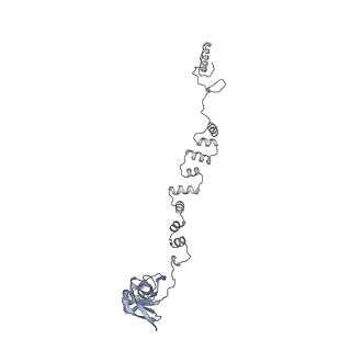4655_6qvk_2q_v1-0
The cryo-EM structure of bacteriophage phi29 prohead
