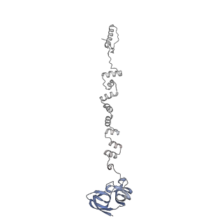 4655_6qvk_2r_v1-0
The cryo-EM structure of bacteriophage phi29 prohead