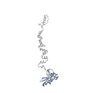 4655_6qvk_2s_v1-0
The cryo-EM structure of bacteriophage phi29 prohead