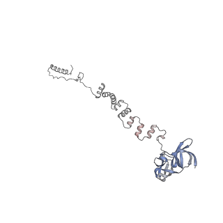 4655_6qvk_2u_v1-0
The cryo-EM structure of bacteriophage phi29 prohead